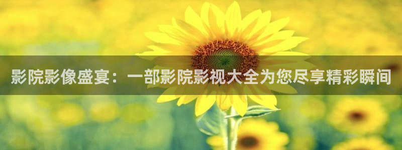 浮力影院最新地址发布：影院影像盛宴：一部影院影视大全为您尽享精彩瞬间