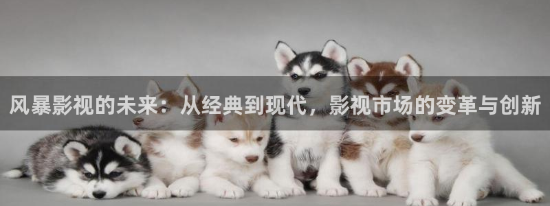 浮力网站