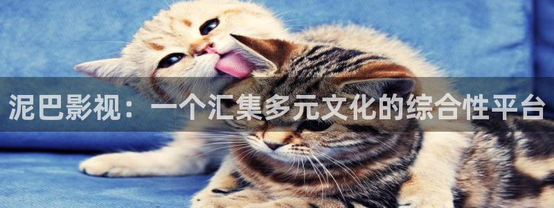 欧美浮力草草影院